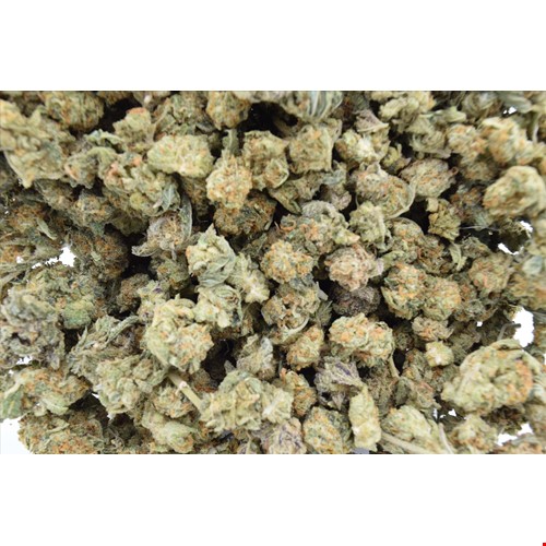 white russian small.jpg